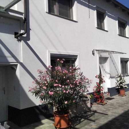 Ferienhaus Fam. Bisgen Niederkirchen bei Deidesheim Kültér fotó